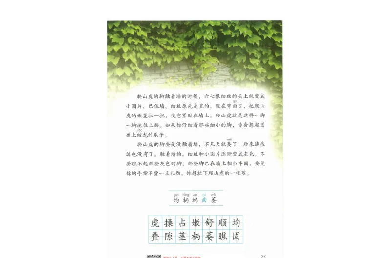 部编版语文4年级上册电子课本(1)_教资初高中_教资面试2025教资面试备考资料合集_教资面试资料合集_2025教资面试资料_25上教资面试-小学资料包_20教材：全册_小学_小学语文