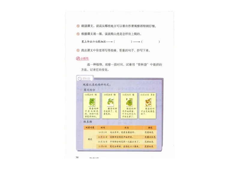 部编版语文4年级上册电子课本(1)_教资初高中_教资面试2025教资面试备考资料合集_教资面试资料合集_2025教资面试资料_25上教资面试-小学资料包_20教材：全册_小学_小学语文