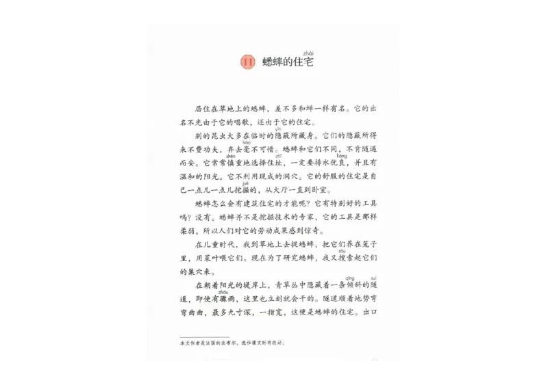 部编版语文4年级上册电子课本(1)_教资初高中_教资面试2025教资面试备考资料合集_教资面试资料合集_2025教资面试资料_25上教资面试-小学资料包_20教材：全册_小学_小学语文
