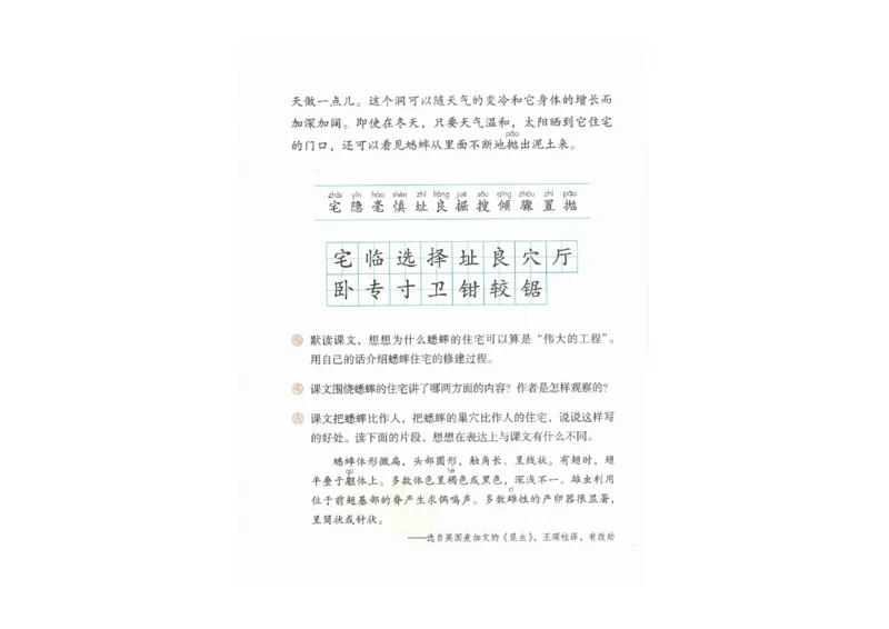 部编版语文4年级上册电子课本(1)_教资初高中_教资面试2025教资面试备考资料合集_教资面试资料合集_2025教资面试资料_25上教资面试-小学资料包_20教材：全册_小学_小学语文
