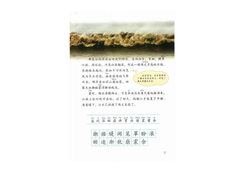 部编版语文4年级上册电子课本(1)_教资初高中_教资面试2025教资面试备考资料合集_教资面试资料合集_2025教资面试资料_25上教资面试-小学资料包_20教材：全册_小学_小学语文