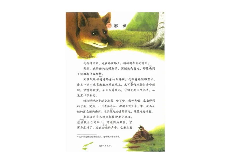 部编版语文4年级上册电子课本(1)_教资初高中_教资面试2025教资面试备考资料合集_教资面试资料合集_2025教资面试资料_25上教资面试-小学资料包_20教材：全册_小学_小学语文