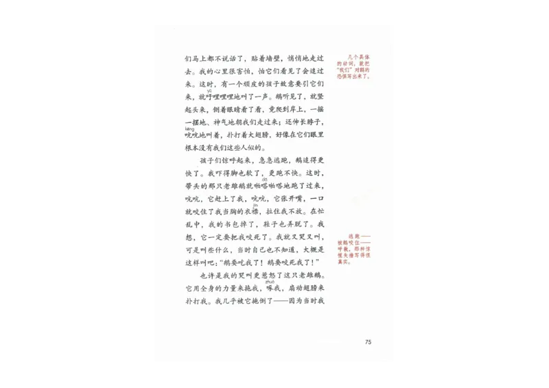 部编版语文4年级上册电子课本(1)_教资初高中_教资面试2025教资面试备考资料合集_教资面试资料合集_2025教资面试资料_25上教资面试-小学资料包_20教材：全册_小学_小学语文