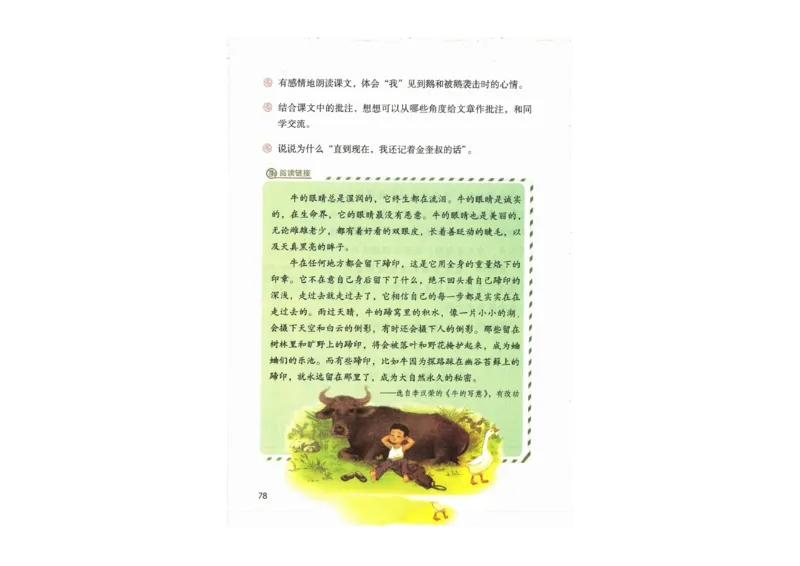 部编版语文4年级上册电子课本(1)_教资初高中_教资面试2025教资面试备考资料合集_教资面试资料合集_2025教资面试资料_25上教资面试-小学资料包_20教材：全册_小学_小学语文