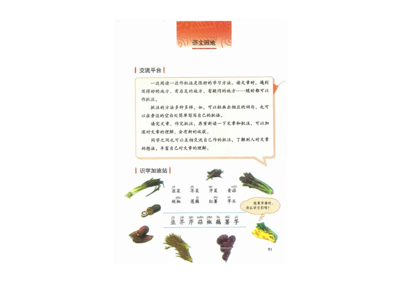 部编版语文4年级上册电子课本(1)_教资初高中_教资面试2025教资面试备考资料合集_教资面试资料合集_2025教资面试资料_25上教资面试-小学资料包_20教材：全册_小学_小学语文