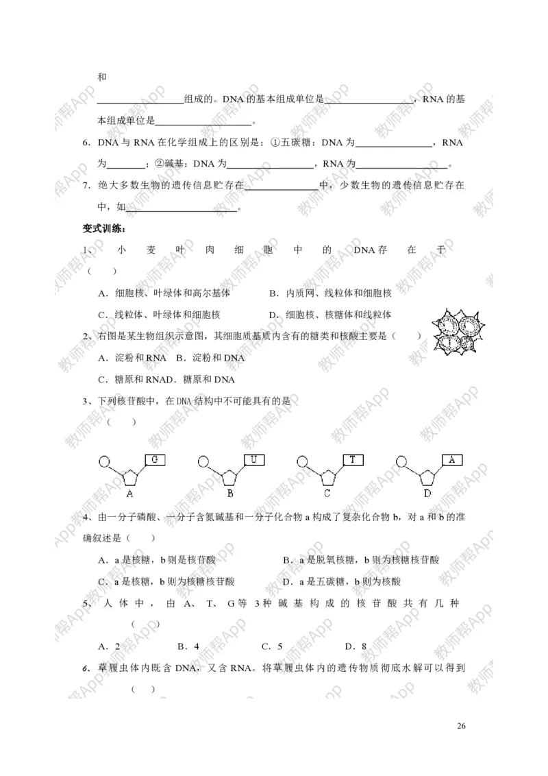 高中生物必修1全册教案(1)_教资初高中_教资面试2025教资面试备考资料合集_教资面试资料合集_2025教资面试资料_25上教资面试-小学资料包_19教案：合集_高中学科全册教案