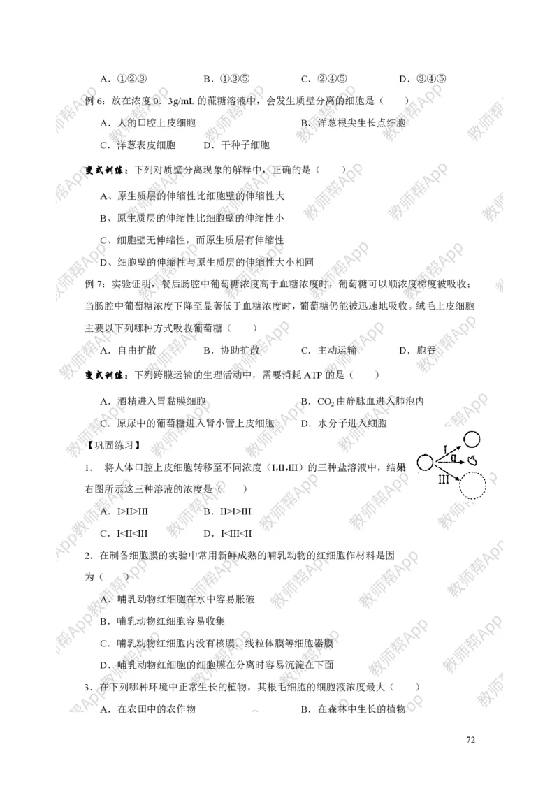 高中生物必修1全册教案(1)_教资初高中_教资面试2025教资面试备考资料合集_教资面试资料合集_2025教资面试资料_25上教资面试-小学资料包_19教案：合集_高中学科全册教案