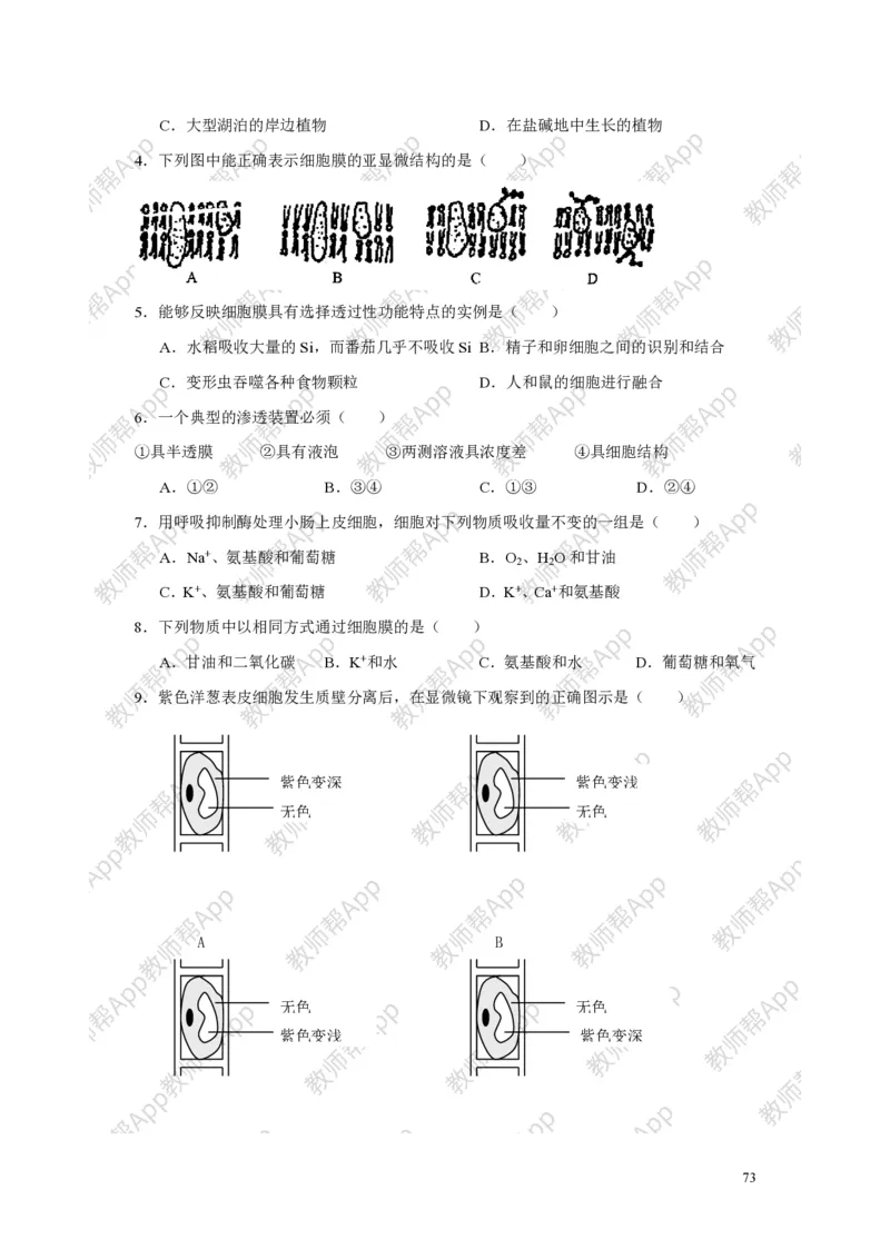 高中生物必修1全册教案(1)_教资初高中_教资面试2025教资面试备考资料合集_教资面试资料合集_2025教资面试资料_25上教资面试-小学资料包_19教案：合集_高中学科全册教案