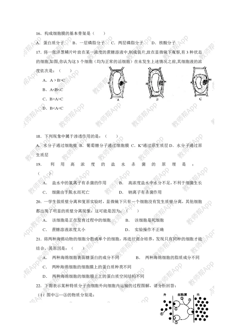 高中生物必修1全册教案(1)_教资初高中_教资面试2025教资面试备考资料合集_教资面试资料合集_2025教资面试资料_25上教资面试-小学资料包_19教案：合集_高中学科全册教案