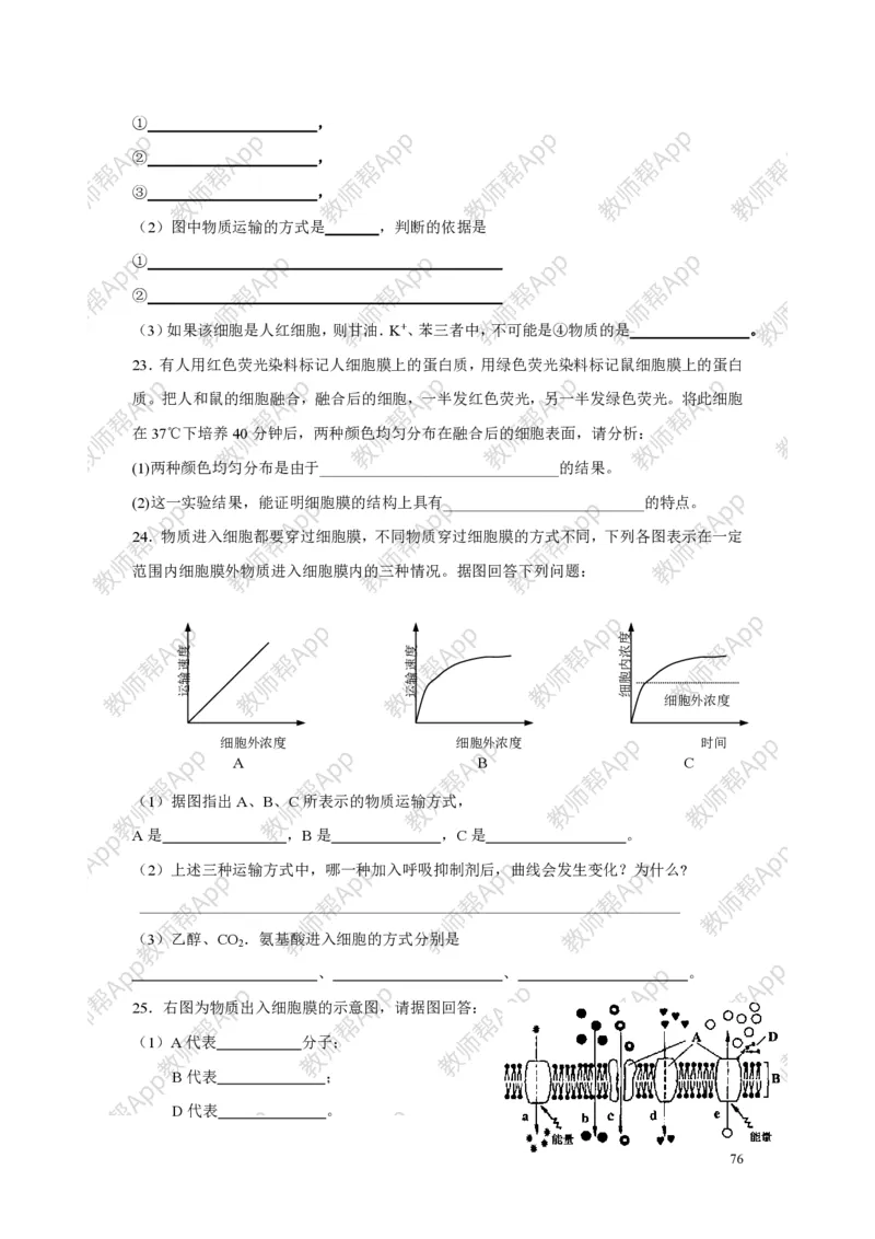 高中生物必修1全册教案(1)_教资初高中_教资面试2025教资面试备考资料合集_教资面试资料合集_2025教资面试资料_25上教资面试-小学资料包_19教案：合集_高中学科全册教案