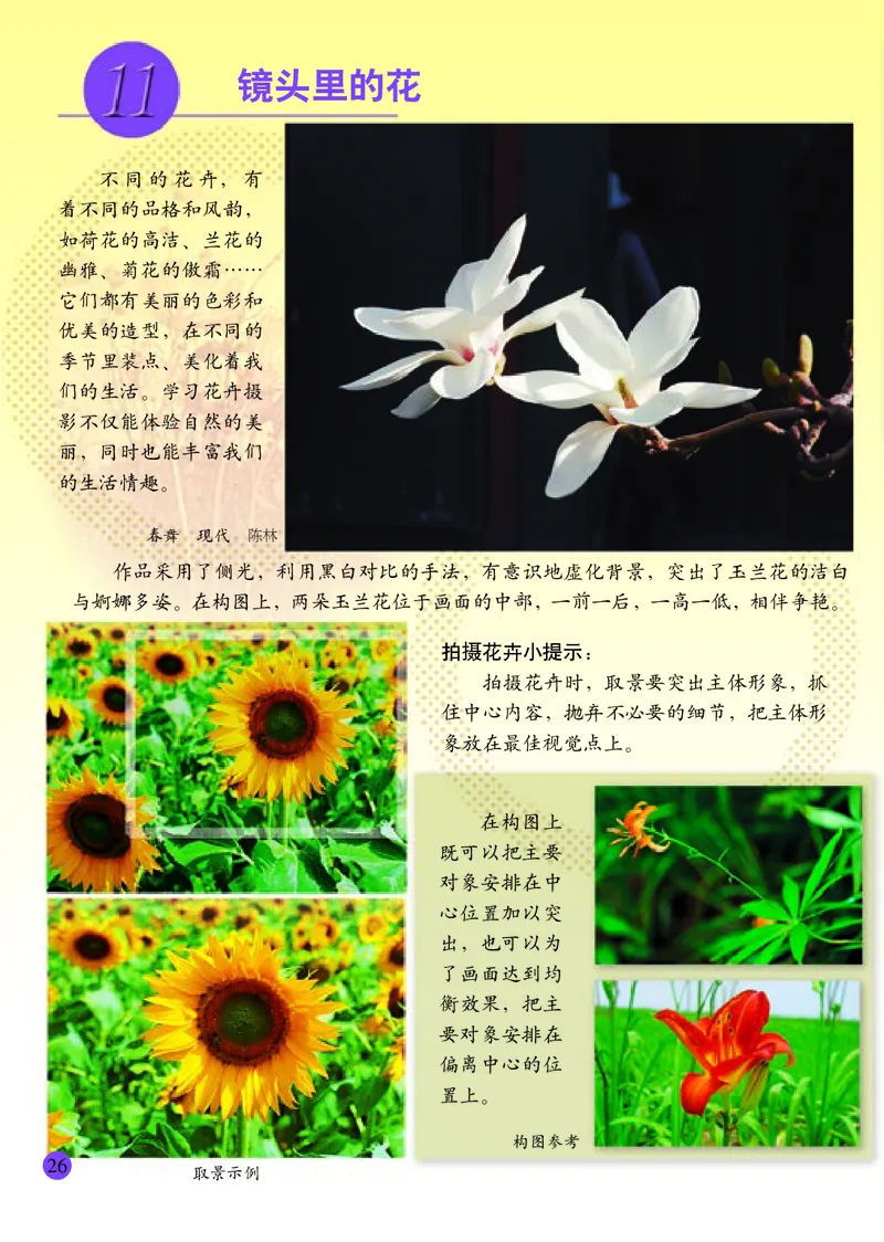 小学六年级上册美术_教资初高中_教资面试2025教资面试备考资料合集_教资面试资料合集_3、教资面试资料包大全_45大圣中小幼面试资料包_小学_美术_电子课本_小学美术-常锐伦