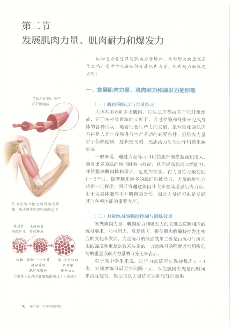 高中-体育与健康(1)_教资初高中_教资面试2025教资面试备考资料合集_教资面试资料合集_2025教资面试资料_25上教资面试-小学资料包_20教材：全册_高中_高中体育