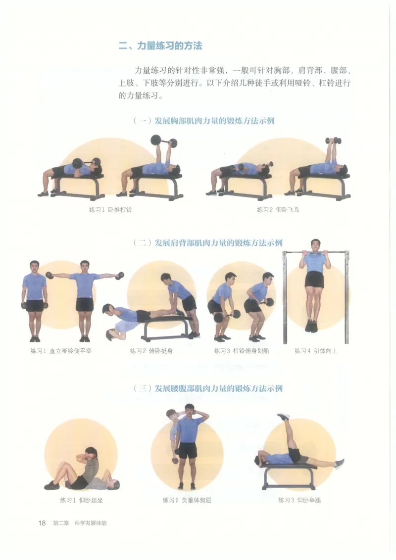 高中-体育与健康(1)_教资初高中_教资面试2025教资面试备考资料合集_教资面试资料合集_2025教资面试资料_25上教资面试-小学资料包_20教材：全册_高中_高中体育