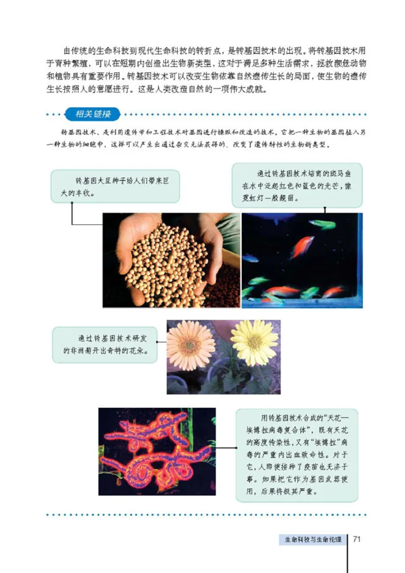 高中政治选修6公民道德与伦理常识(1)_教资初高中_教资面试2025教资面试备考资料合集_教资面试资料合集_2025教资面试资料_25上教资面试-小学资料包_20教材：全册_高中_高中政治