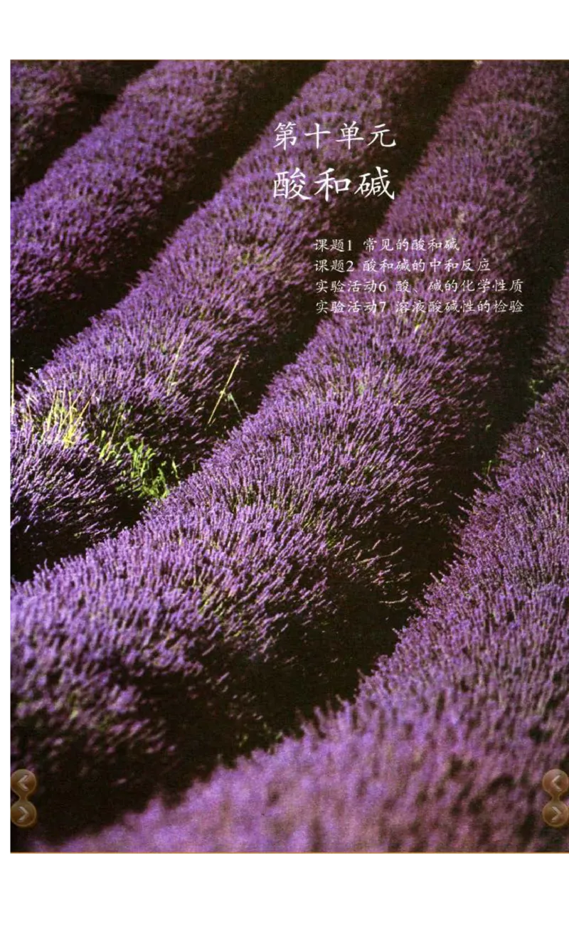 新版化学九下(1)_教资初高中_教资面试2025教资面试备考资料合集_教资面试资料合集_2025教资面试资料_25上教资面试-小学资料包_20教材：全册_初中_初中化学