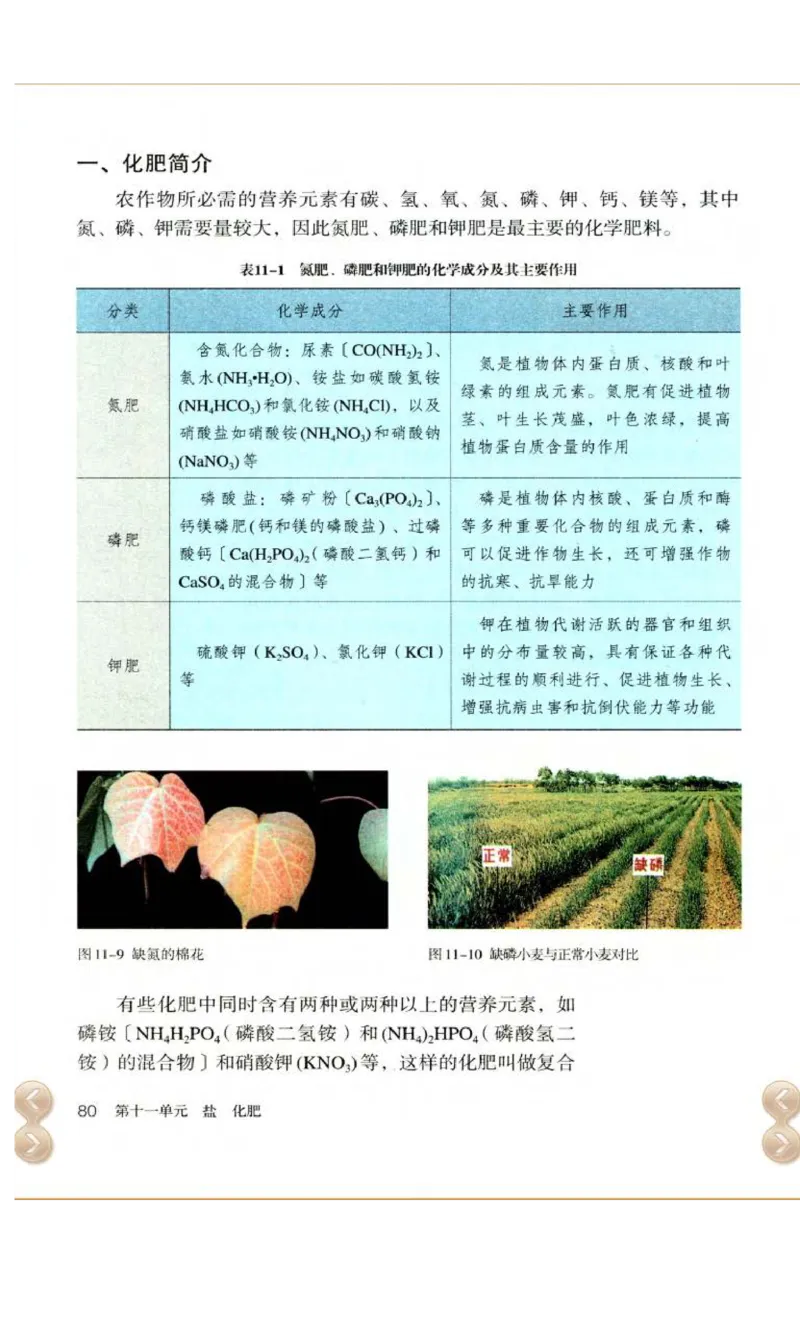新版化学九下(1)_教资初高中_教资面试2025教资面试备考资料合集_教资面试资料合集_2025教资面试资料_25上教资面试-小学资料包_20教材：全册_初中_初中化学