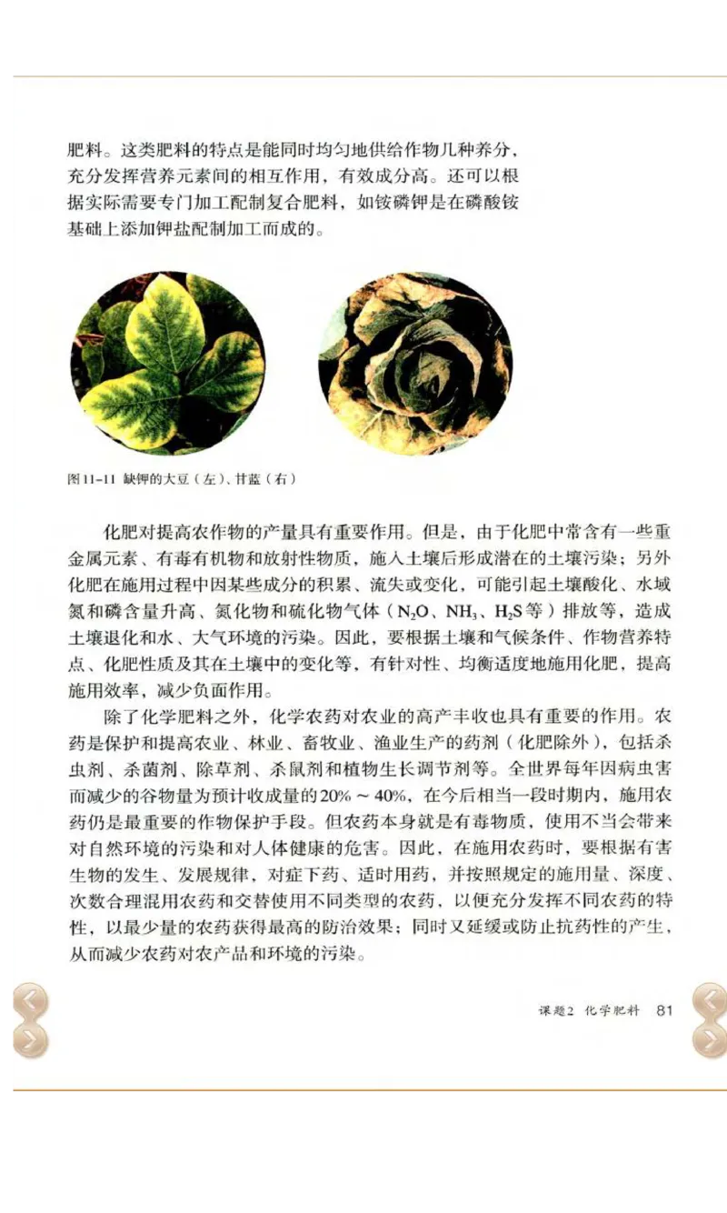 新版化学九下(1)_教资初高中_教资面试2025教资面试备考资料合集_教资面试资料合集_2025教资面试资料_25上教资面试-小学资料包_20教材：全册_初中_初中化学