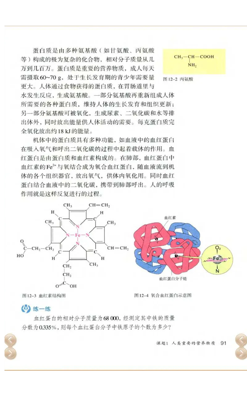 新版化学九下(1)_教资初高中_教资面试2025教资面试备考资料合集_教资面试资料合集_2025教资面试资料_25上教资面试-小学资料包_20教材：全册_初中_初中化学
