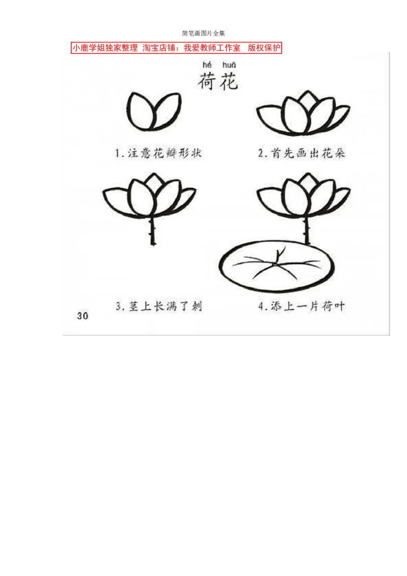 最新简笔画图片(102页完整版)_教资初高中_教资面试2025教资面试备考资料合集_教资面试资料合集_2025教资面试资料_25上教资面试中学合集_教资面试逐字稿_幼儿各领域重点知识归纳
