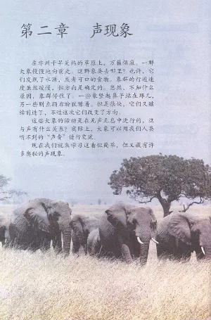 新版物理八上(1)_教资初高中_教资面试2025教资面试备考资料合集_教资面试资料合集_2025教资面试资料_25上教资面试-小学资料包_20教材：全册_初中_初中物理