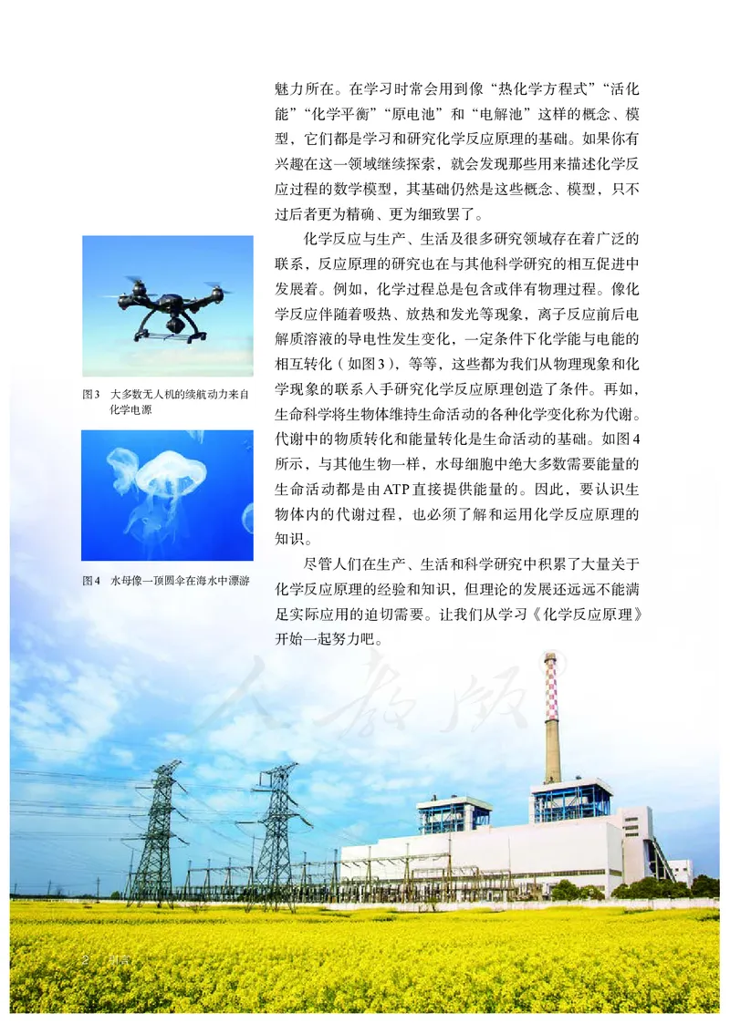 高中选修一化学（人教版）_教资初高中_教资面试2025教资面试备考资料合集_教资面试资料合集_3、教资面试资料包大全_45大圣中小幼面试资料包_高中_化学_高中化学电子课本