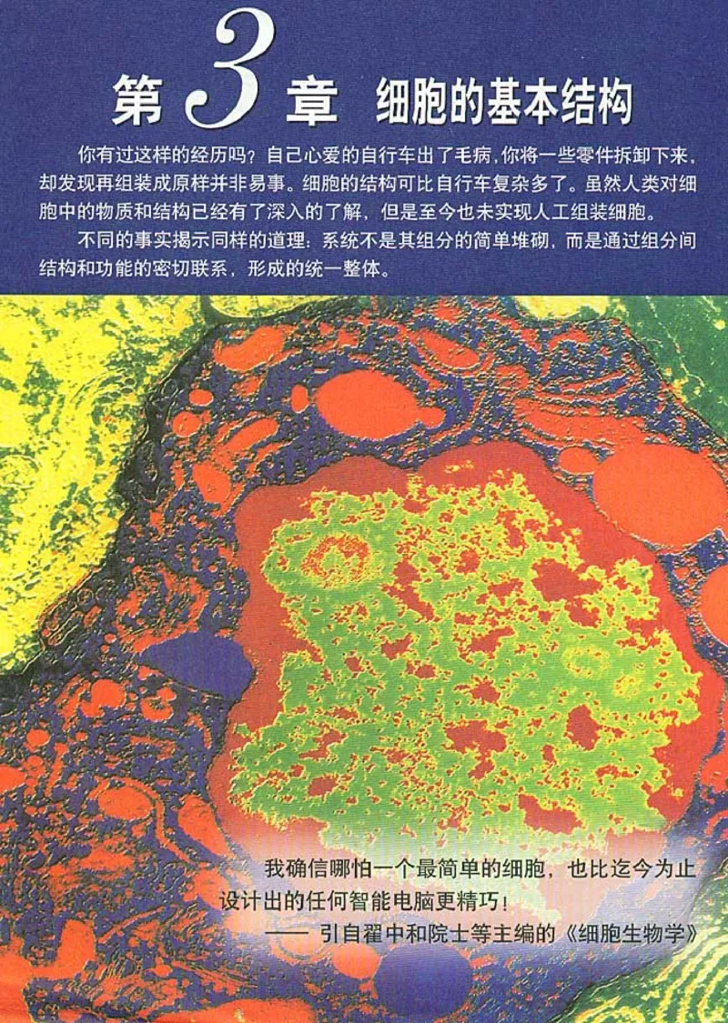 高中生物必修1分子与细胞(1)_教资初高中_教资面试2025教资面试备考资料合集_教资面试资料合集_2025教资面试资料_25上教资面试-小学资料包_20教材：全册_高中_高中生物