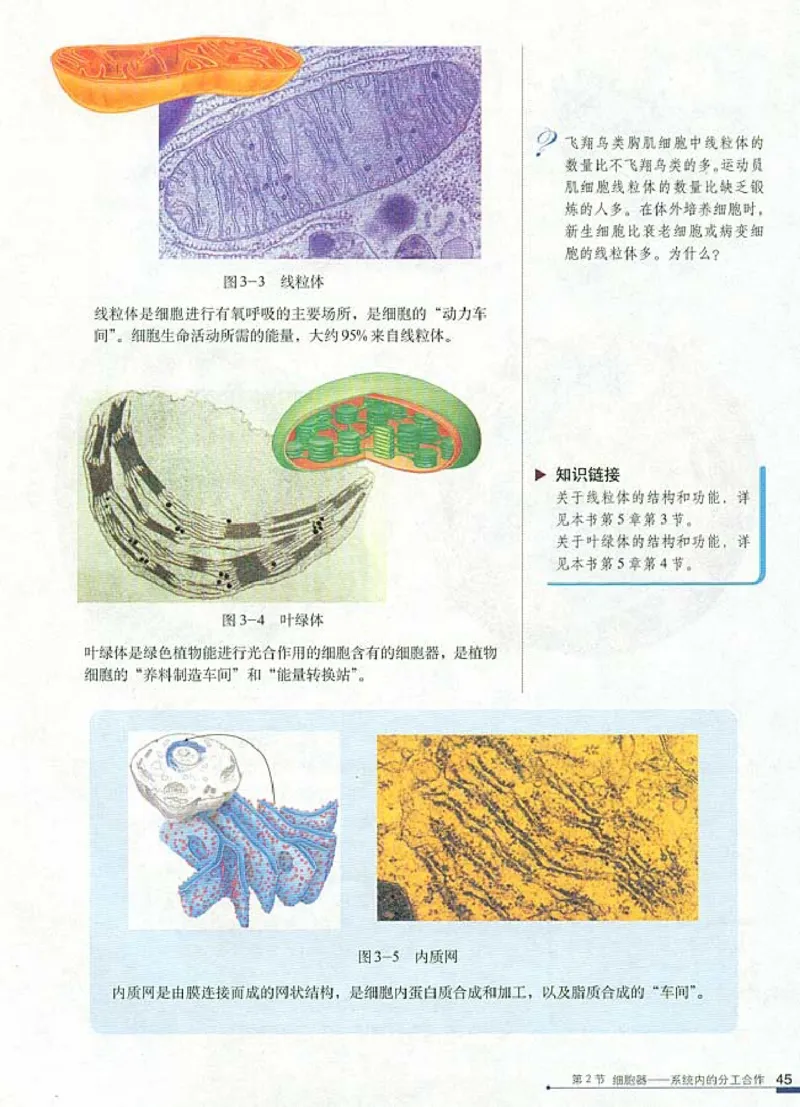 高中生物必修1分子与细胞(1)_教资初高中_教资面试2025教资面试备考资料合集_教资面试资料合集_2025教资面试资料_25上教资面试-小学资料包_20教材：全册_高中_高中生物