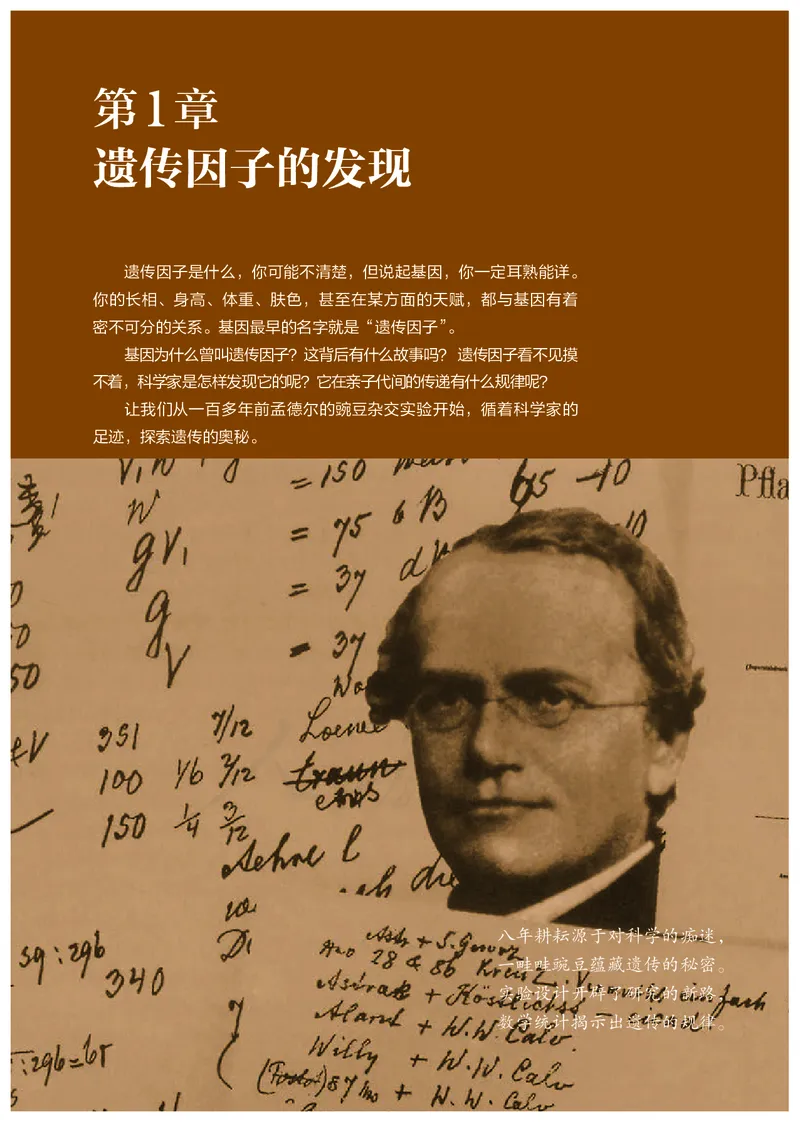 高中必修二生物_教资初高中_教资面试2025教资面试备考资料合集_教资面试资料合集_3、教资面试资料包大全_45大圣中小幼面试资料包_高中_生物_高中生物电子课本