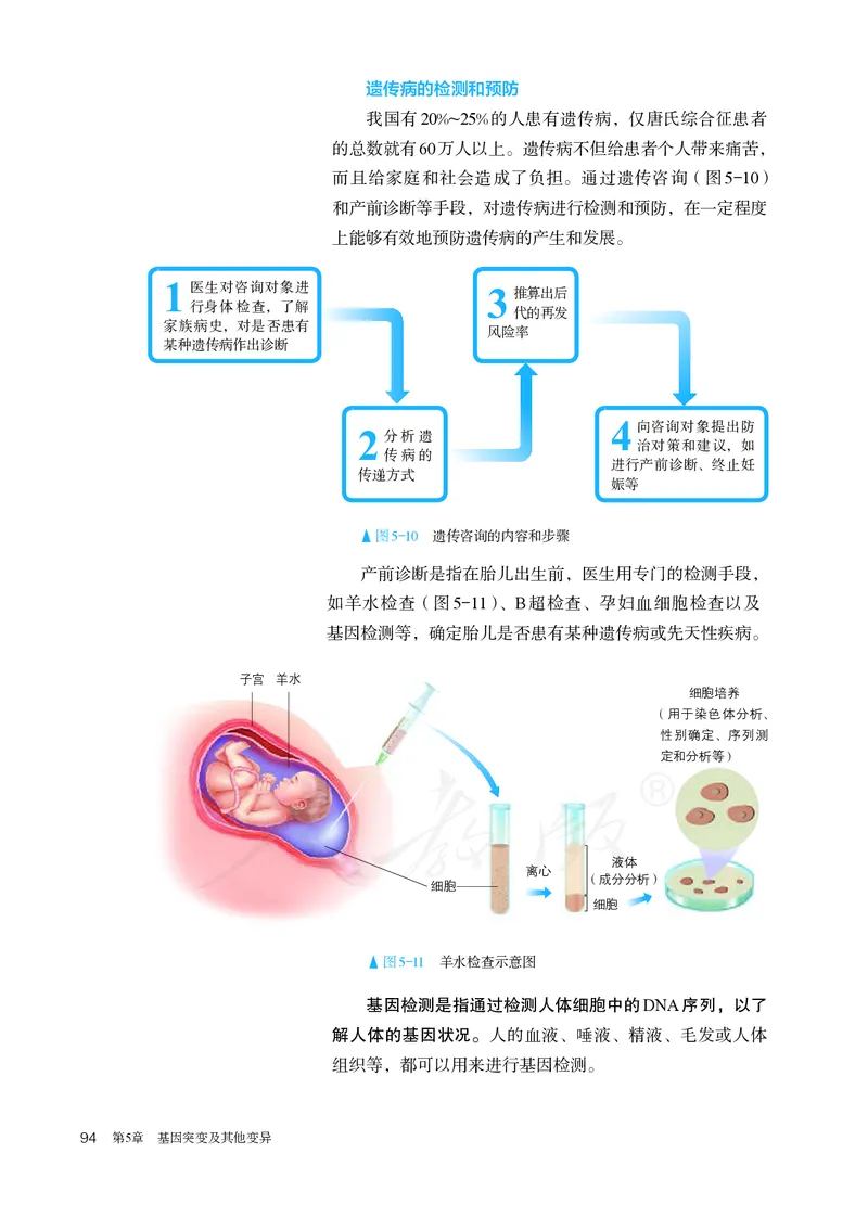 高中必修二生物_教资初高中_教资面试2025教资面试备考资料合集_教资面试资料合集_3、教资面试资料包大全_45大圣中小幼面试资料包_高中_生物_高中生物电子课本