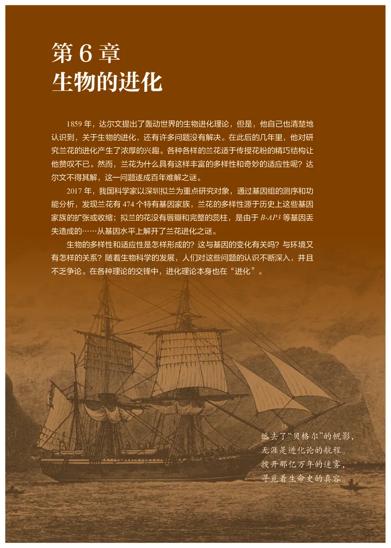 高中必修二生物_教资初高中_教资面试2025教资面试备考资料合集_教资面试资料合集_3、教资面试资料包大全_45大圣中小幼面试资料包_高中_生物_高中生物电子课本