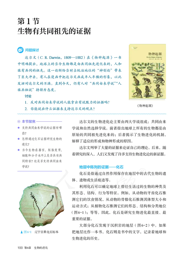 高中必修二生物_教资初高中_教资面试2025教资面试备考资料合集_教资面试资料合集_3、教资面试资料包大全_45大圣中小幼面试资料包_高中_生物_高中生物电子课本