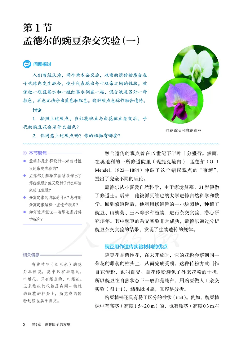 高中必修二生物_教资初高中_教资面试2025教资面试备考资料合集_教资面试资料合集_3、教资面试资料包大全_45大圣中小幼面试资料包_高中_生物_高中生物电子课本