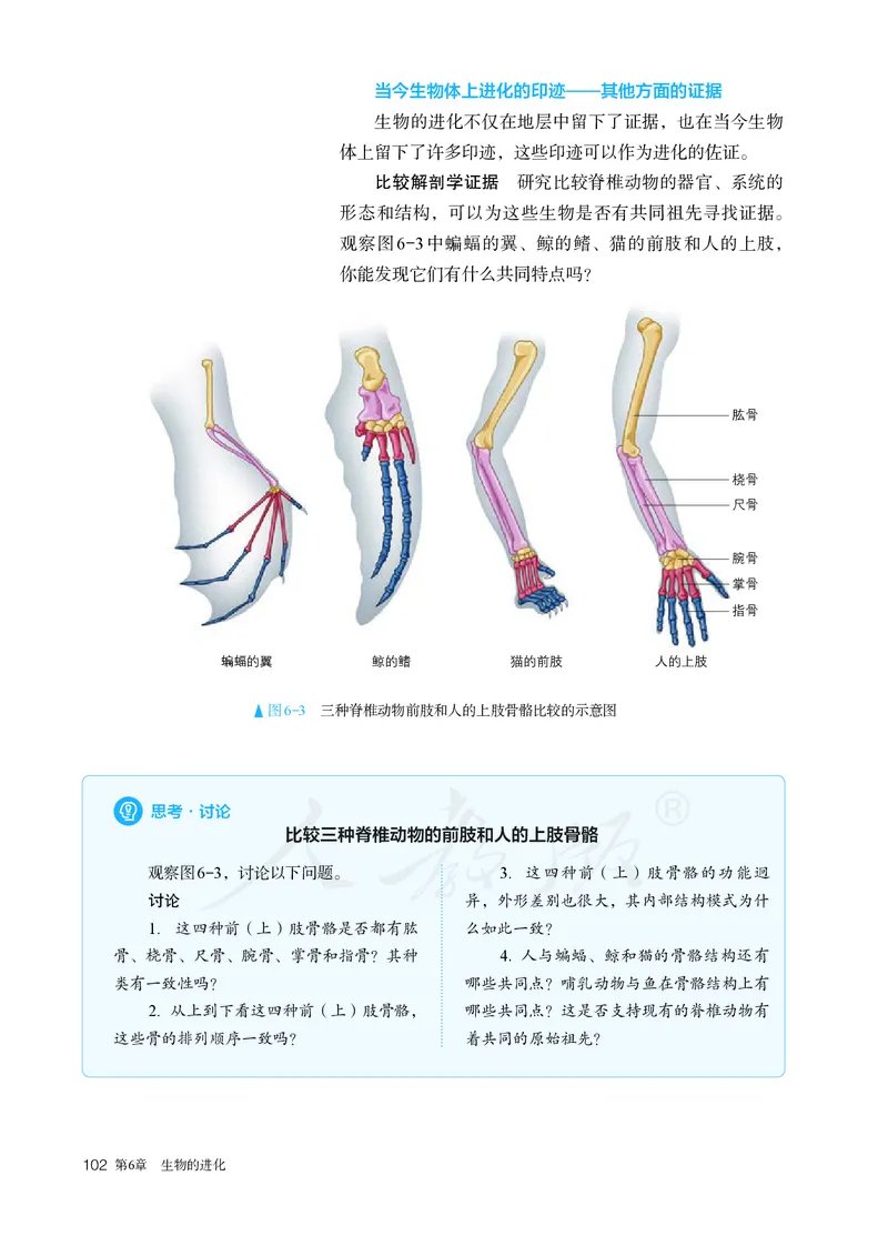 高中必修二生物_教资初高中_教资面试2025教资面试备考资料合集_教资面试资料合集_3、教资面试资料包大全_45大圣中小幼面试资料包_高中_生物_高中生物电子课本