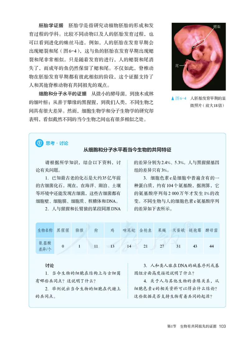 高中必修二生物_教资初高中_教资面试2025教资面试备考资料合集_教资面试资料合集_3、教资面试资料包大全_45大圣中小幼面试资料包_高中_生物_高中生物电子课本