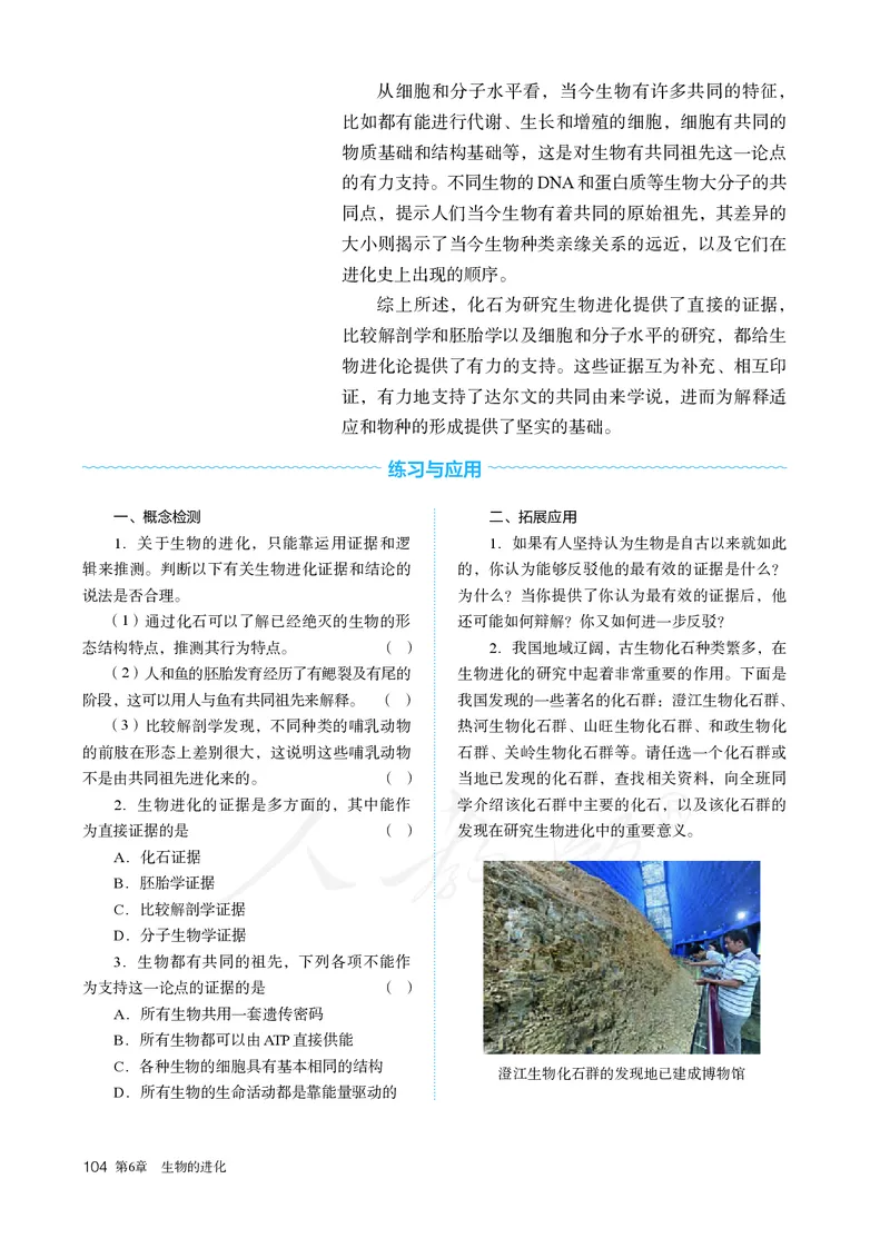 高中必修二生物_教资初高中_教资面试2025教资面试备考资料合集_教资面试资料合集_3、教资面试资料包大全_45大圣中小幼面试资料包_高中_生物_高中生物电子课本