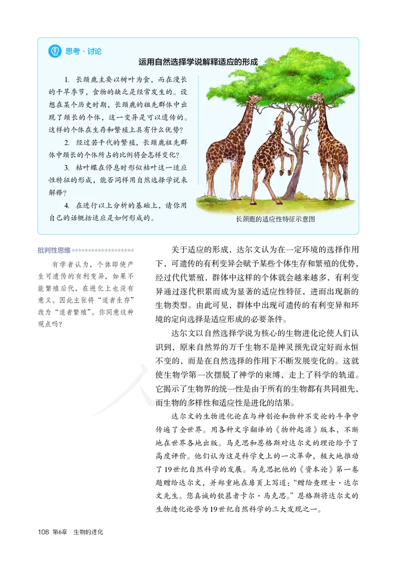 高中必修二生物_教资初高中_教资面试2025教资面试备考资料合集_教资面试资料合集_3、教资面试资料包大全_45大圣中小幼面试资料包_高中_生物_高中生物电子课本