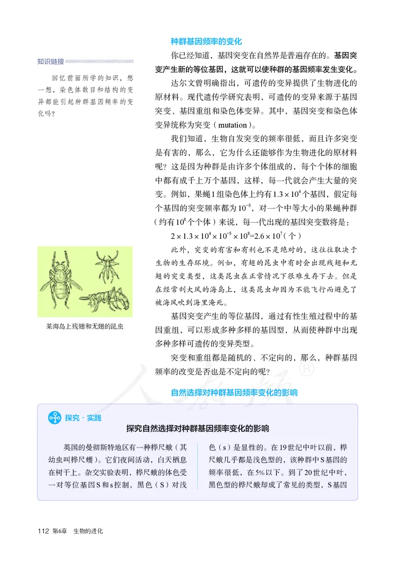 高中必修二生物_教资初高中_教资面试2025教资面试备考资料合集_教资面试资料合集_3、教资面试资料包大全_45大圣中小幼面试资料包_高中_生物_高中生物电子课本