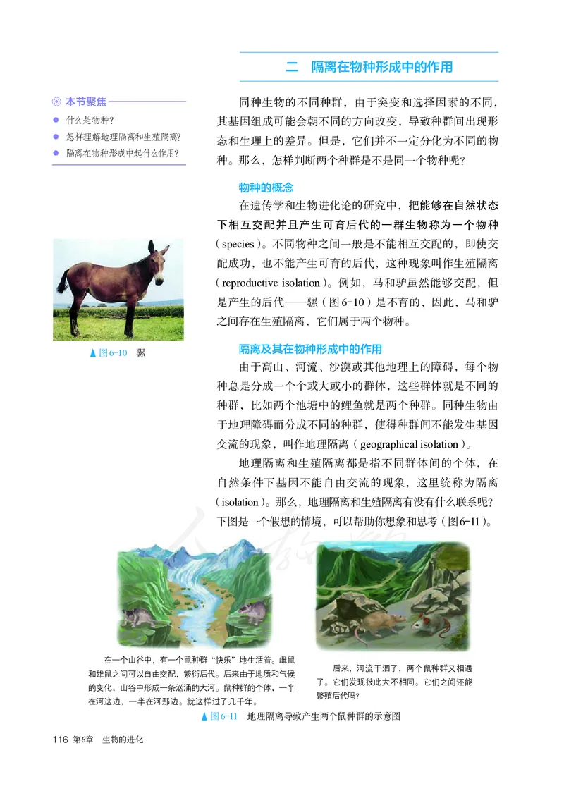 高中必修二生物_教资初高中_教资面试2025教资面试备考资料合集_教资面试资料合集_3、教资面试资料包大全_45大圣中小幼面试资料包_高中_生物_高中生物电子课本