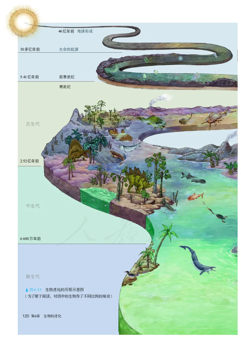 高中必修二生物_教资初高中_教资面试2025教资面试备考资料合集_教资面试资料合集_3、教资面试资料包大全_45大圣中小幼面试资料包_高中_生物_高中生物电子课本