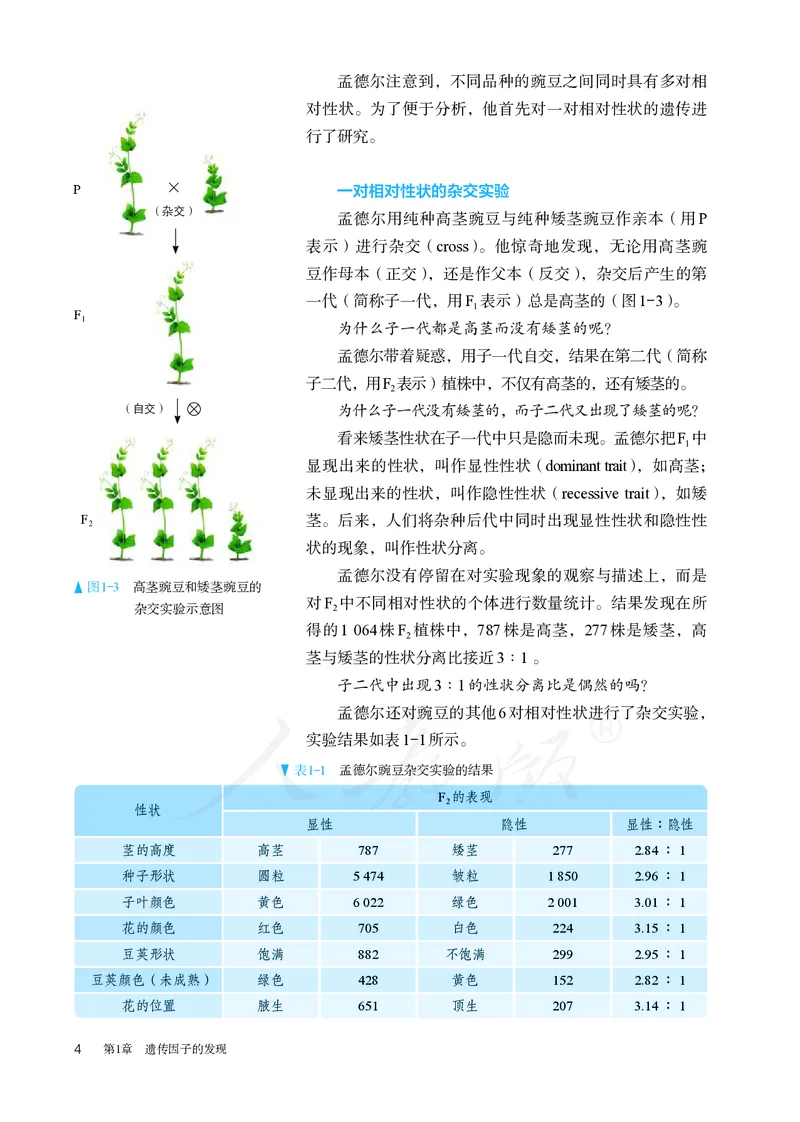高中必修二生物_教资初高中_教资面试2025教资面试备考资料合集_教资面试资料合集_3、教资面试资料包大全_45大圣中小幼面试资料包_高中_生物_高中生物电子课本