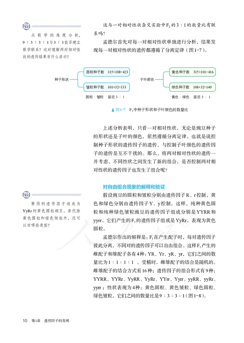 高中必修二生物_教资初高中_教资面试2025教资面试备考资料合集_教资面试资料合集_3、教资面试资料包大全_45大圣中小幼面试资料包_高中_生物_高中生物电子课本