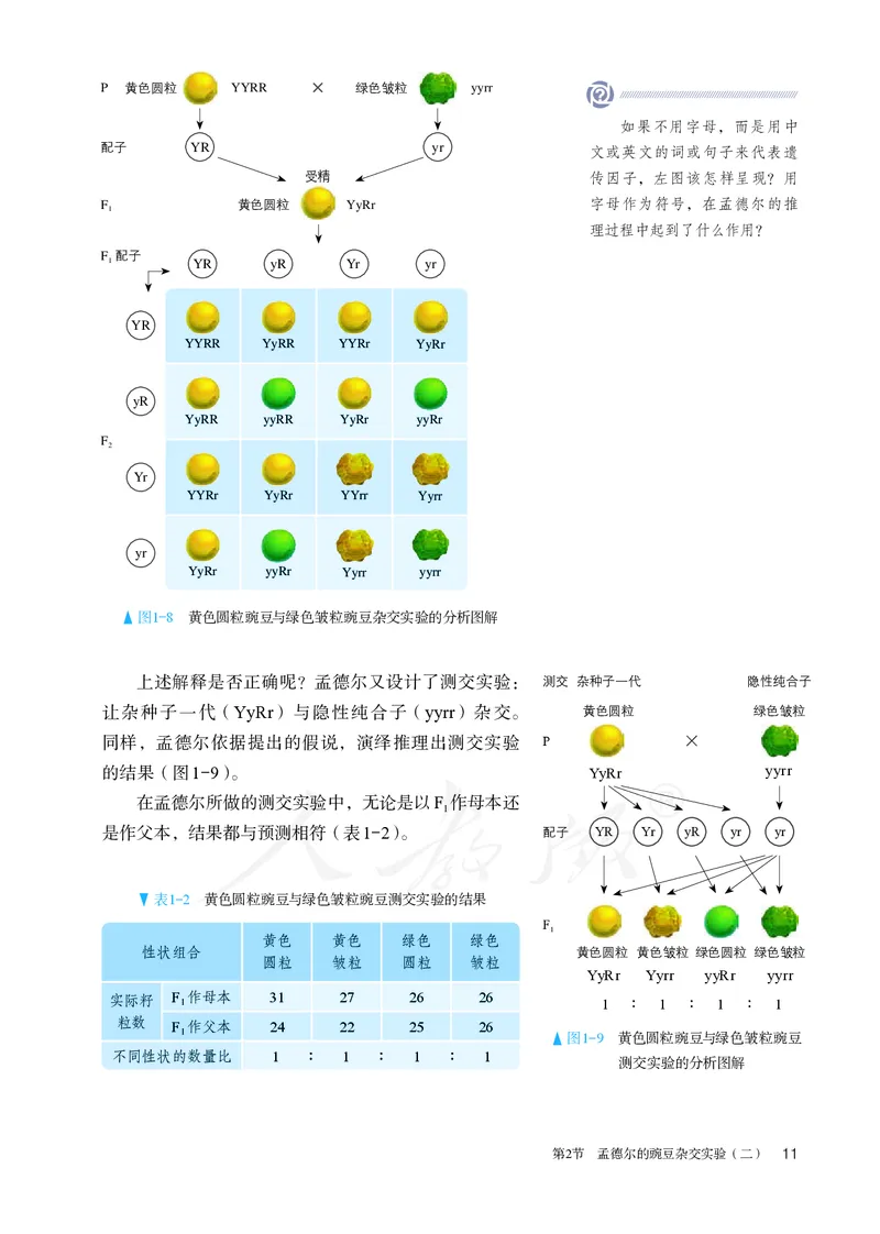 高中必修二生物_教资初高中_教资面试2025教资面试备考资料合集_教资面试资料合集_3、教资面试资料包大全_45大圣中小幼面试资料包_高中_生物_高中生物电子课本