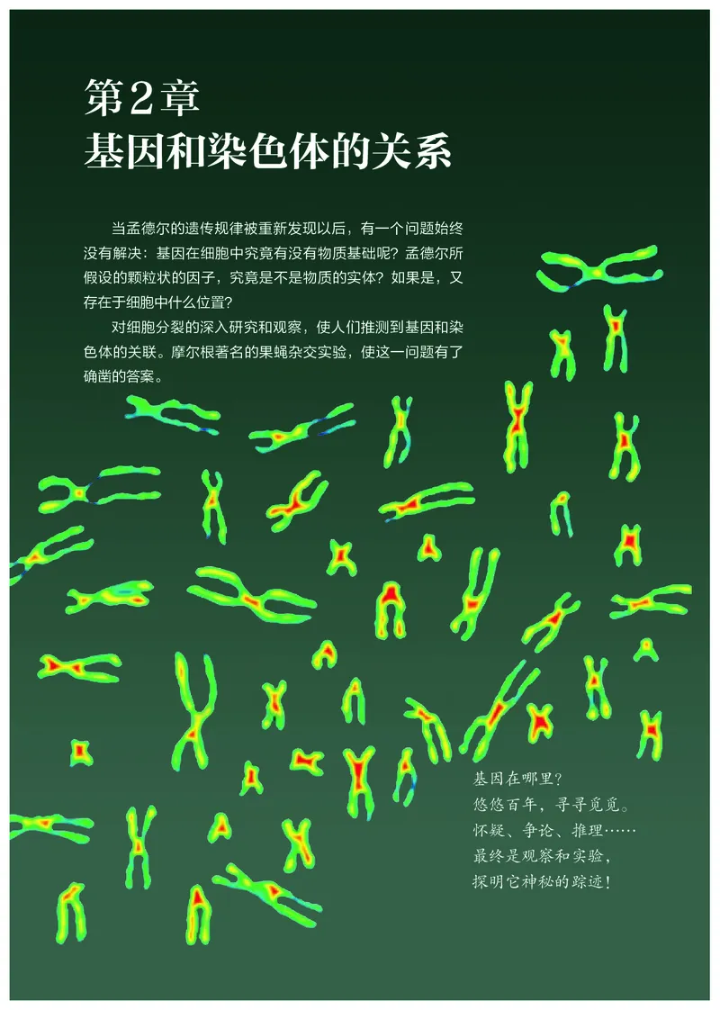 高中必修二生物_教资初高中_教资面试2025教资面试备考资料合集_教资面试资料合集_3、教资面试资料包大全_45大圣中小幼面试资料包_高中_生物_高中生物电子课本