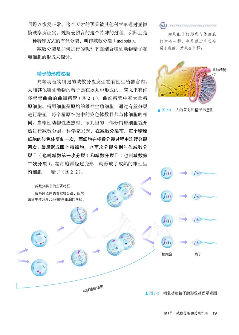 高中必修二生物_教资初高中_教资面试2025教资面试备考资料合集_教资面试资料合集_3、教资面试资料包大全_45大圣中小幼面试资料包_高中_生物_高中生物电子课本