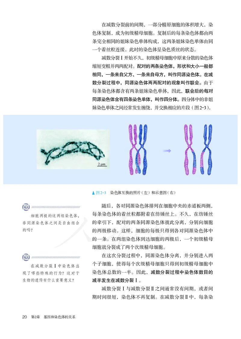 高中必修二生物_教资初高中_教资面试2025教资面试备考资料合集_教资面试资料合集_3、教资面试资料包大全_45大圣中小幼面试资料包_高中_生物_高中生物电子课本