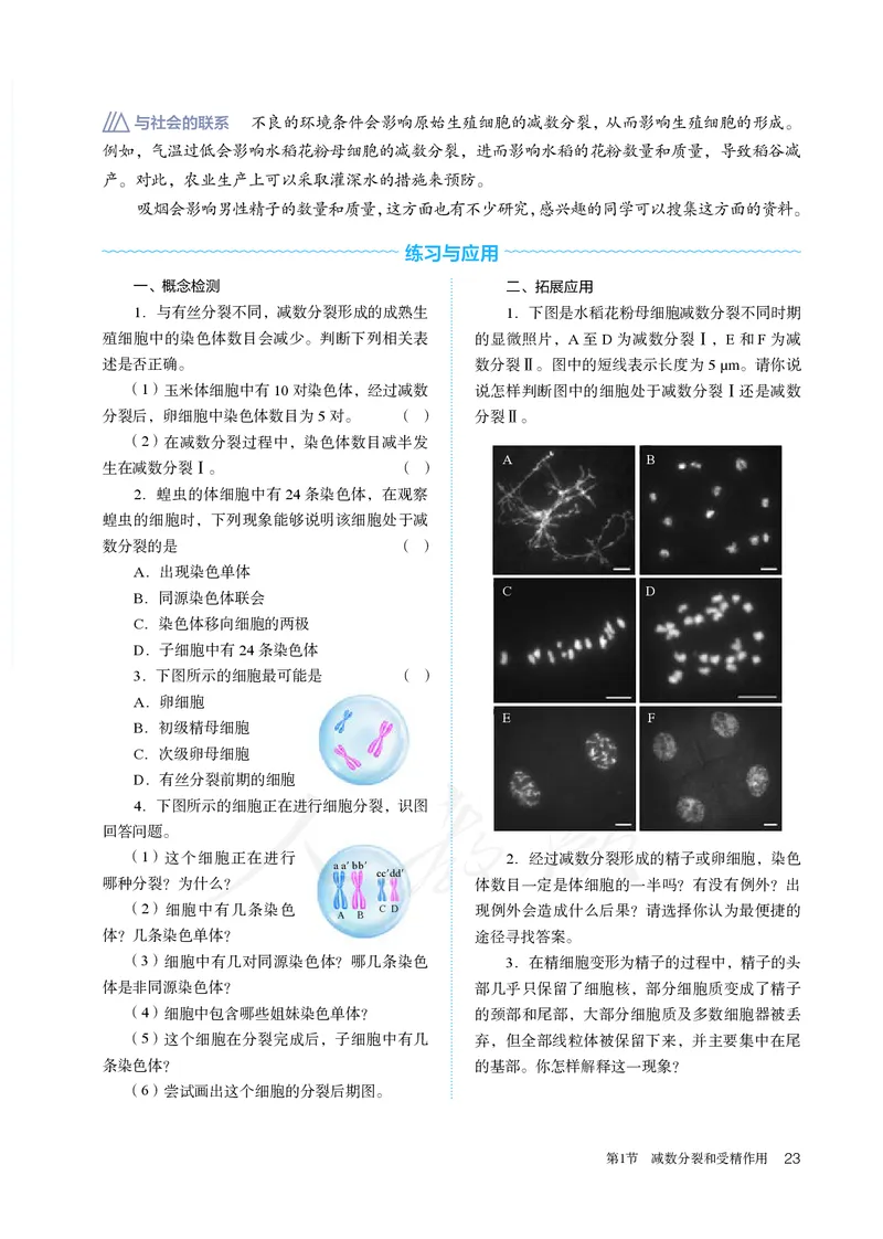 高中必修二生物_教资初高中_教资面试2025教资面试备考资料合集_教资面试资料合集_3、教资面试资料包大全_45大圣中小幼面试资料包_高中_生物_高中生物电子课本