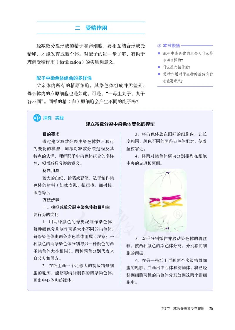 高中必修二生物_教资初高中_教资面试2025教资面试备考资料合集_教资面试资料合集_3、教资面试资料包大全_45大圣中小幼面试资料包_高中_生物_高中生物电子课本