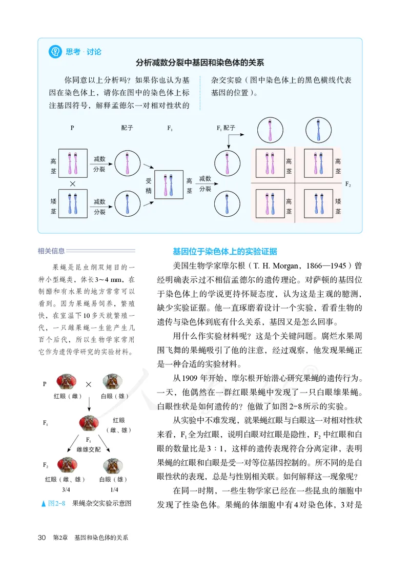 高中必修二生物_教资初高中_教资面试2025教资面试备考资料合集_教资面试资料合集_3、教资面试资料包大全_45大圣中小幼面试资料包_高中_生物_高中生物电子课本