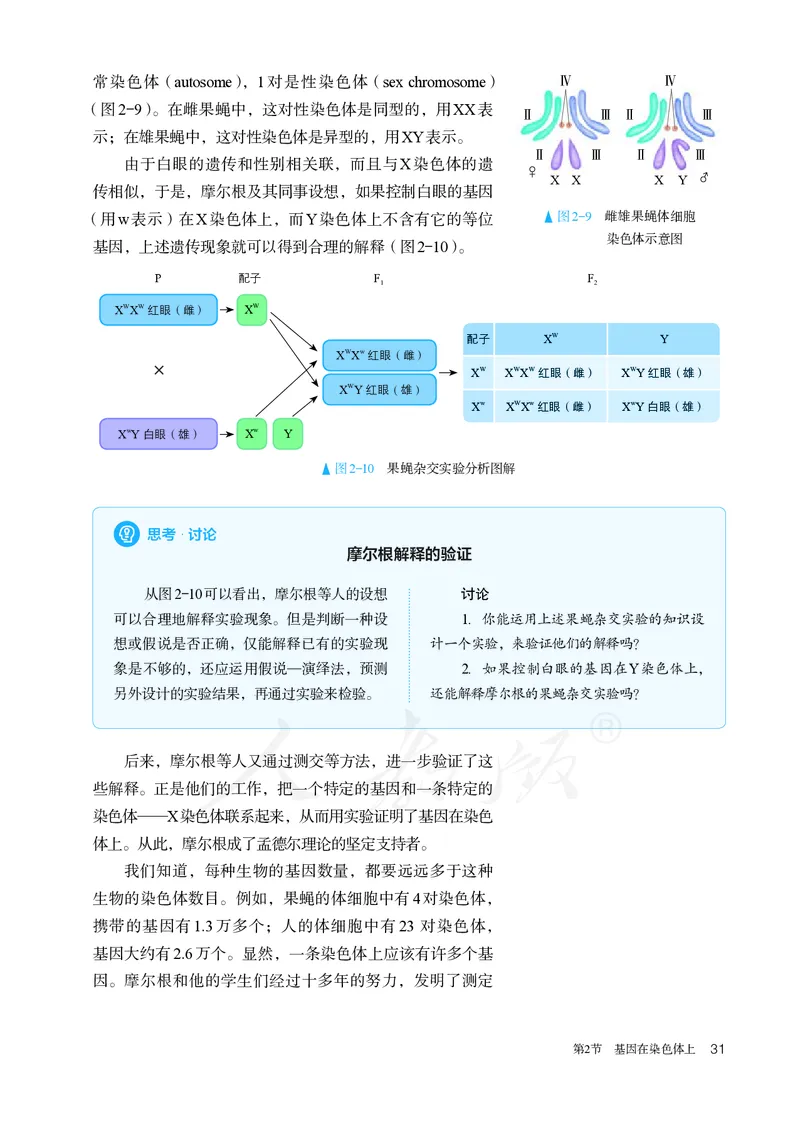 高中必修二生物_教资初高中_教资面试2025教资面试备考资料合集_教资面试资料合集_3、教资面试资料包大全_45大圣中小幼面试资料包_高中_生物_高中生物电子课本