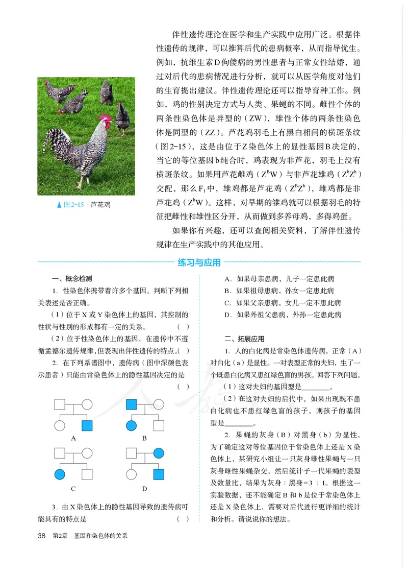 高中必修二生物_教资初高中_教资面试2025教资面试备考资料合集_教资面试资料合集_3、教资面试资料包大全_45大圣中小幼面试资料包_高中_生物_高中生物电子课本